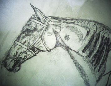 pic1 Gallery